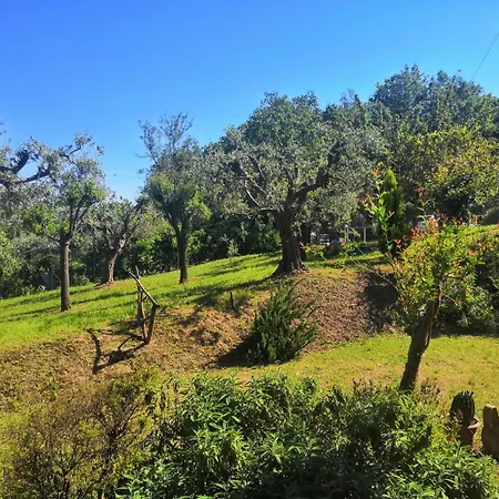 Сasa de vacaciones La Grande Quercia *